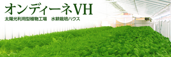 開発製品のご紹介 前編 舶用水耕栽培装置 兵神機械工業株式会社 船舶用機器 モーター 農工製品